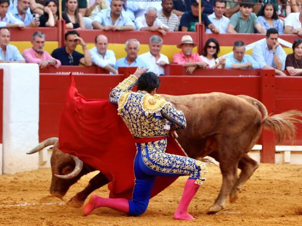 La corrida de Morante, Talavante y Ortega en Alicante, en vídeo