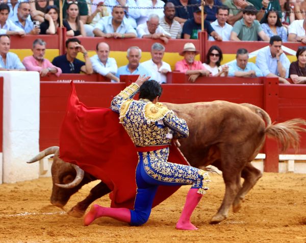 La corrida de Morante, Talavante y Ortega en Alicante, en vídeo