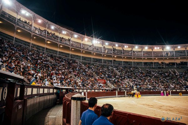 Álvaro de Chinchón, El Mene y Félix San Román abren el certamen de novilladas de ‘Cénate Las Ventas’