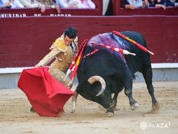 Garrido corta una oreja en una tarde de entrega de Ismael Martín y Navalón en Madrid