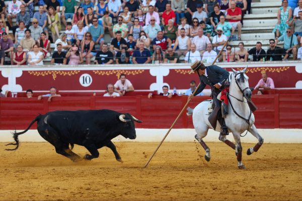 Los aceros dejan sin premio una notable corrida de rejones en Torrejón