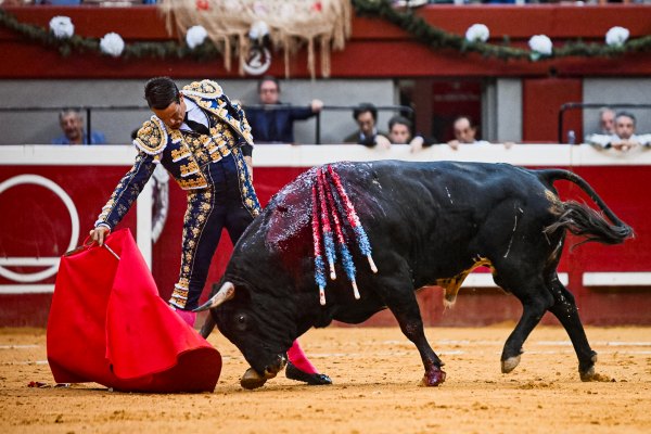 José María Manzanares recibirá la ‘Concha de Oro’ a la mejor faena de la Semana Grande Donostiarra 2025