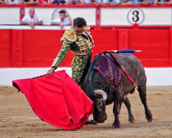 Los naturales de El Cid y Escribano, oreja por coleta en la corrida de Victorino Martín en Santander