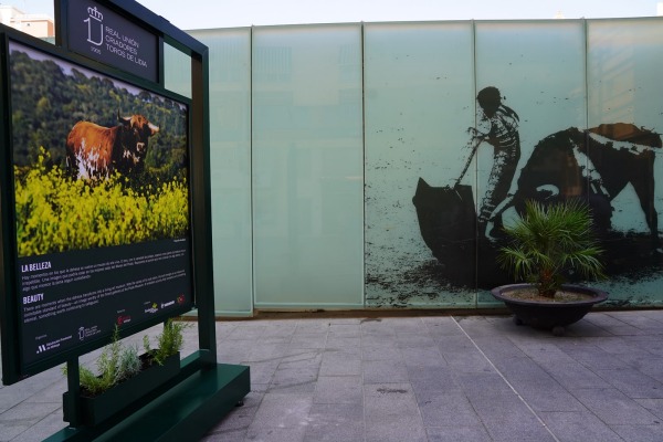 Inaugurada en Málaga la muestra ‘Toro Bravo, el guardián de la biodiversidad’
