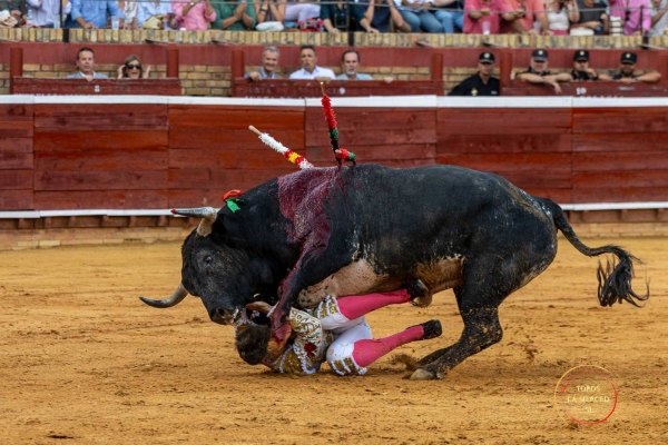 Manuel Escribano, herido con un desgarro de cinco centímetros en la oreja que precisó 20 puntos de sutura en Huelva