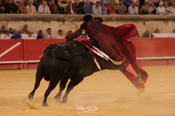 Entrega y emoción de Roca Rey, Puerta de los Cónsules en Nimes