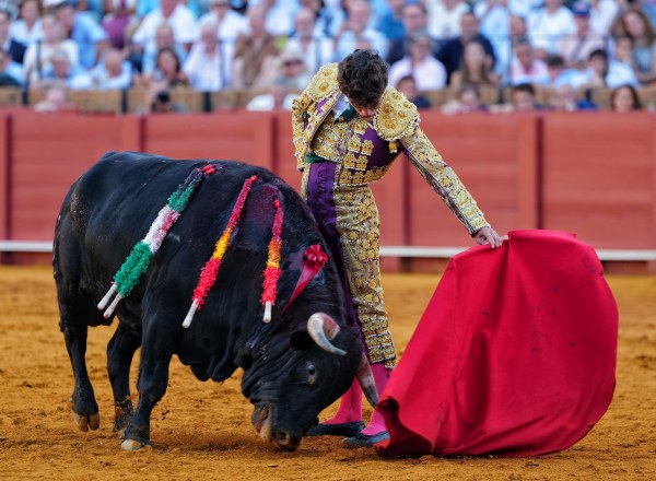 Garibay y Domínguez, dos apuntes de futuro en el inicio de la Feria de San Miguel