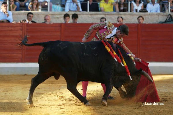 El novillero Joao D’Alva anuncia su retirada: ‘Este es el momento más difícil de mi vida’