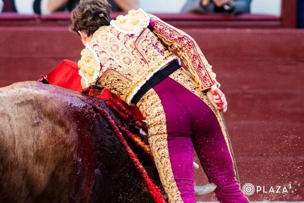 Álvaro Serrano, herido en su encerrona en Las Ventas: ‘Cornada de 20 centímetros en el muslo derecho que contusiona la arteria femoral y produce destrozos en músculos’