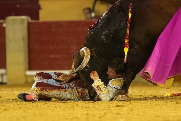 Daniel Luque sufre una luxación en el hombro izquierdo tras una fuerte voltereta en Zaragoza
