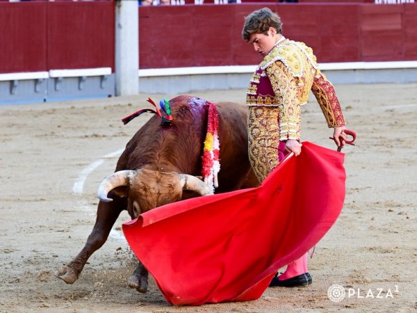 Una grave cornada trunca la encerrona de Álvaro Serrano en Madrid