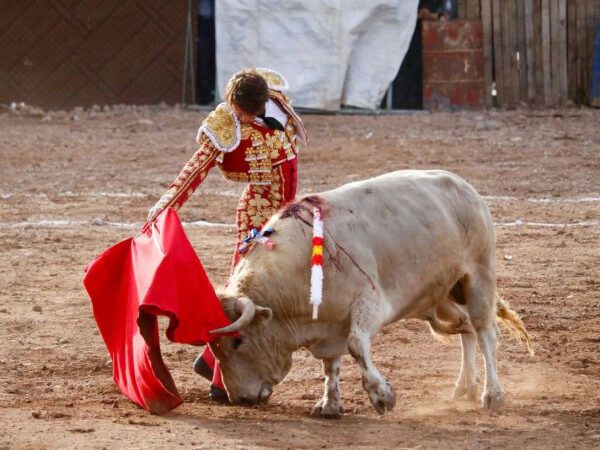 Lama de Góngora indulta un toro en Crucero Puno
