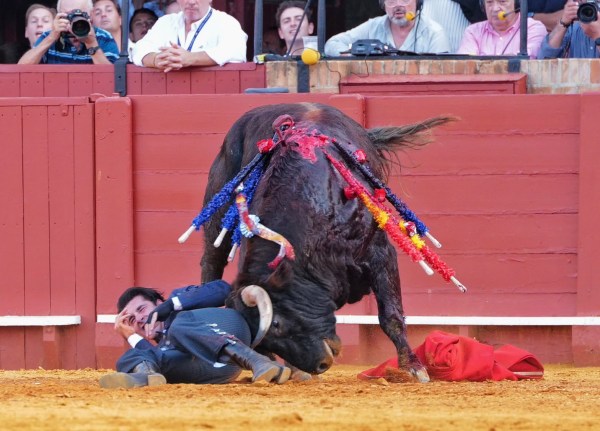 Talavante, herido en Sevilla: cornada de dos trayectorias de 10 y 4 centímetros que lesiona fascia y musculatura de vasto interno